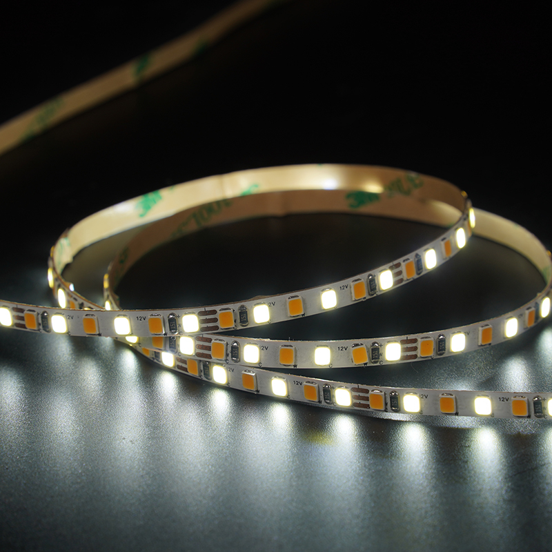 2835 156leds/m CCT 12V 5MM