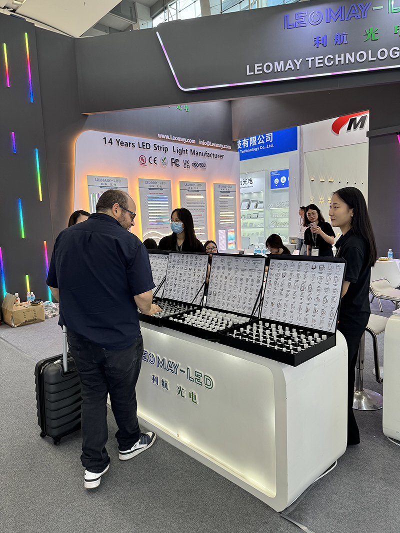 2025 Guangzhou International Lighting Exhibition (10)