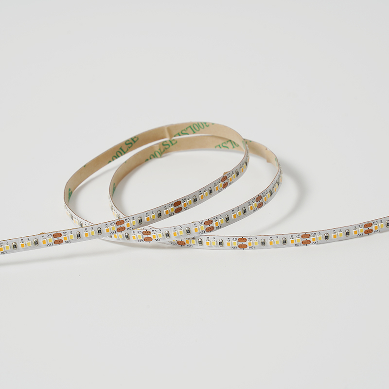 2216 240leds/m CCT 12V 6MM