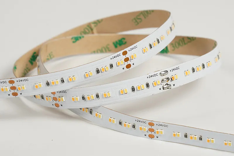 2216 252leds/m CCT 24V 10MM
