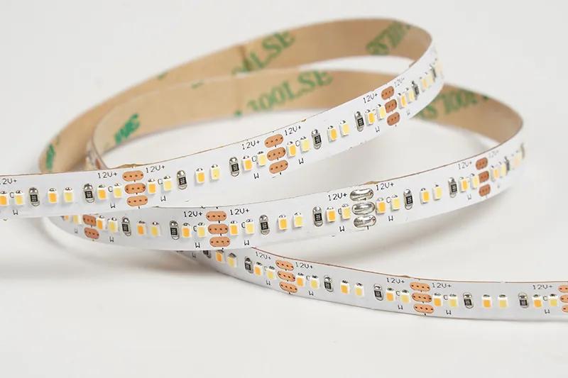2216 240leds/m CCT 12V 8MM