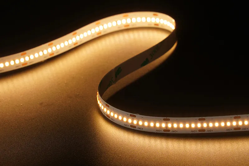 2216 300leds/m 24V 10MM