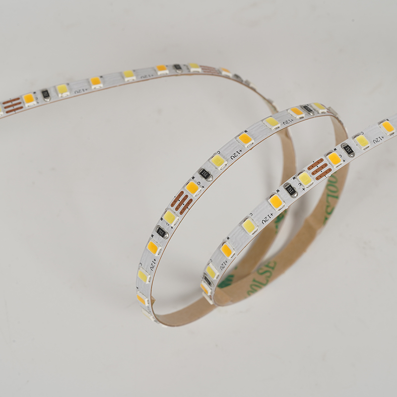 2835 120leds/m CCT 12V 5MM