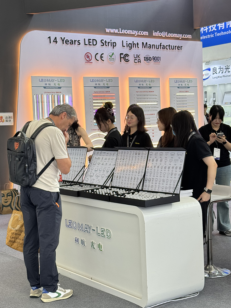 2025 Guangzhou International Lighting Exhibition (6)