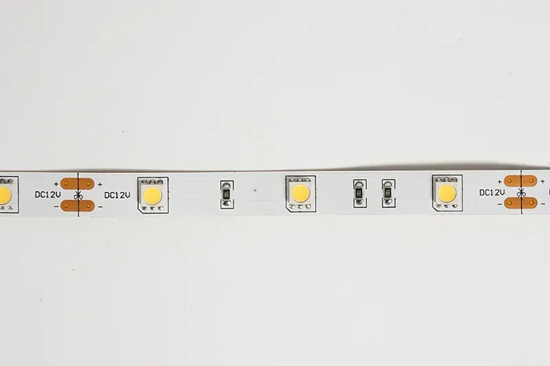5050 30leds/m 12V 10MM