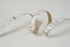 5050 48leds/m 4in1 RGBW 24V 12MM（S shape)