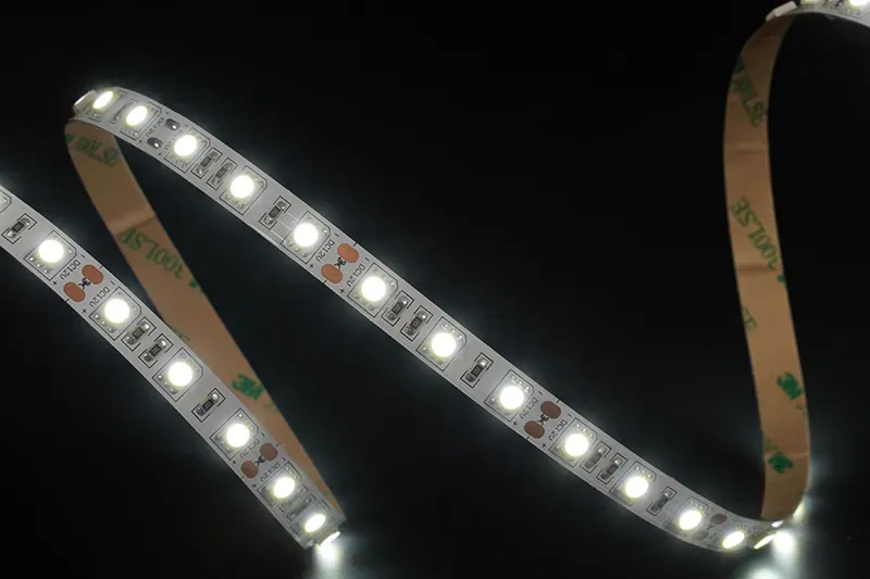 5050 60leds/m 12V 10MM