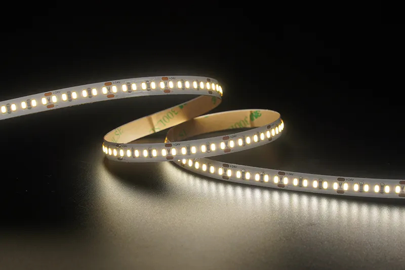 3014 240leds/m 24V 8MM