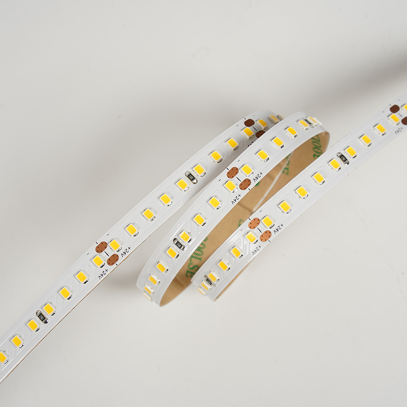 2835 144leds/m 24V 10MM