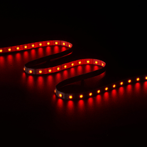 5050 60leds/m IC2815B 12V 10MM