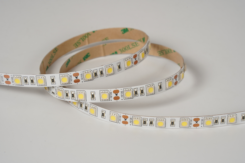 5050 60leds/m 12V 10MM Constant Current